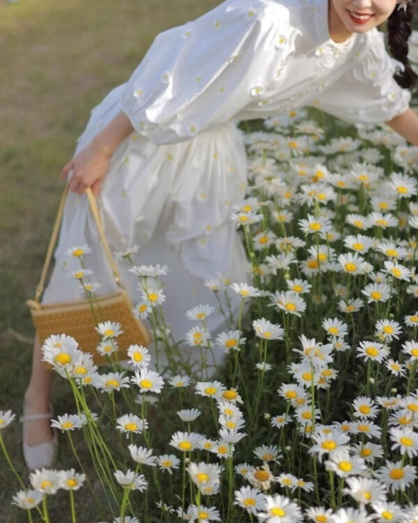 Day Dream Dress ~vol.3~（カジュアルワンピース）