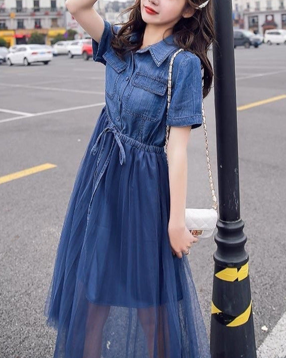 Day Dream Dress ~vol.81~ （デニムチュールワンピース）